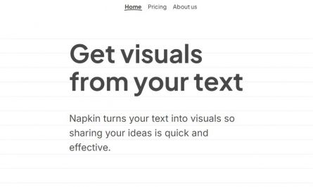 Napkin