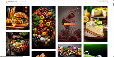 FoodiesFeed 