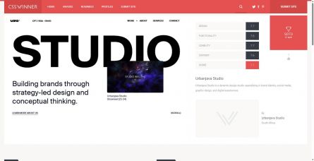 csswinner
