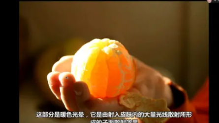 光影色彩理论 中文字幕 (强烈推荐)